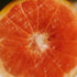 Discover the Phyto-Active Ingredients in Inyun Nutraceuticals